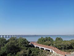 -宝安西湾红树林湿地公园