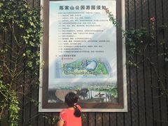 -陈家山荷花公园