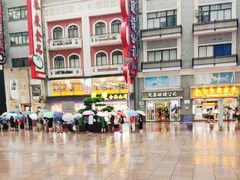 -新雅粤菜馆(南京东路店)