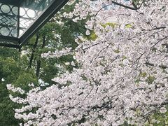 -玛格萝妮比萨屋(四平店)