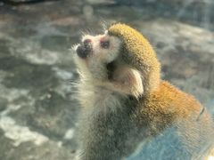 -秦皇岛野生动物园