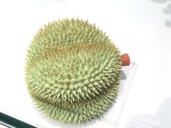 -北京安贞环宇荟