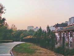 -西安青龙寺遗址景区