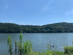 -南京市无想山景区