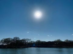 -大兴滨河森林公园