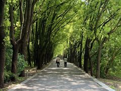 -同里国家湿地公园