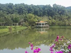 -大屏嶂森林公园