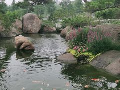 -罗红摄影艺术馆