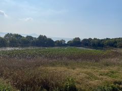 -上海市保健医疗中心