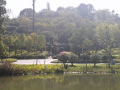 -飞凤山奥体公园