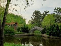 -渡海小渔村.老辈日照菜