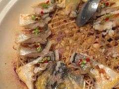 -新白鹿餐厅(城西银泰城店)