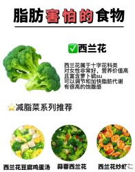 -Fundi张玉珊修身堂·indiba·BTL科技瘦身