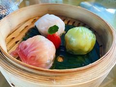 -点都德·毕德寮
