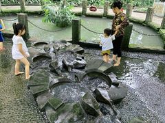 -成都市活水公园