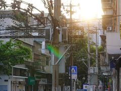 -溪岸路花鸟市场