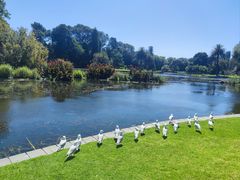 -墨尔本皇家植物园