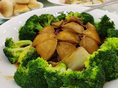 -龙悦湾酒家·八阵鱼生·渔人码头店