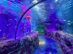 -沈阳海洋探索中心