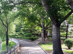 -西海子公园