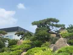 -罗红摄影艺术馆