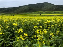 -扁都口生态休闲旅游区