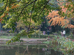 -望江楼公园
