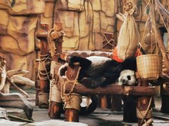 -泉州海丝野生动物世界