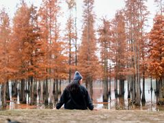 -白鹭湾湿地公园