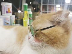 -吴山路夜市