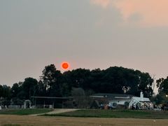 -空港花田景区