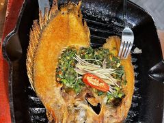 傣族香茅草烤鱼-雀舞云南菜(天津天河城购物中心店)