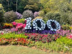 -梧桐山风景名胜区