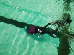 -天姿健美游泳中心