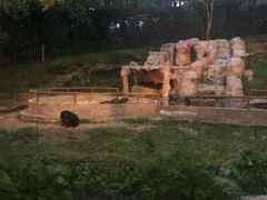 -清迈夜间动物园