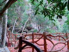 -海南热带雨林国家公园吊罗山景区