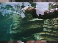 -上海野生动物园