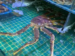-震海贝烤贝·民俗特色店(延吉总店)