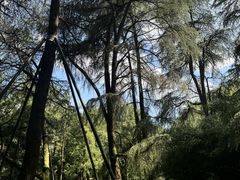 -杭州植物园