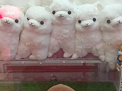 -LLJ夹机占(清河万象汇店)