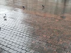 -滴血救世主教堂