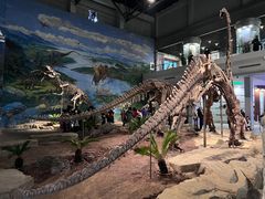 -自贡恐龙博物馆