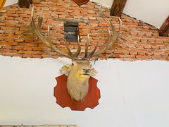 -陶野咖啡·面包披萨