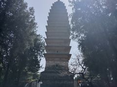 -洛阳白马寺