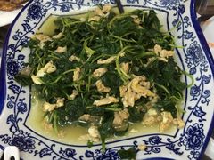 灵芝菜炒蛋-徽州美食(三十年老店)