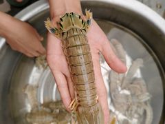 -毗陵醉·黑钻(湖塘店)