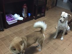 -丝绸小镇荻港古村