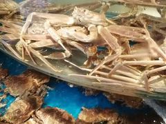 -悦海楼(三衢路店)