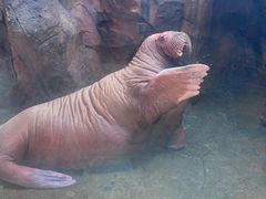 -波塞冬旅游度假区