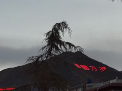 -冷峰马家鸡蛋牛奶醪糟(八朗学五巷店)